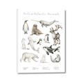 Picture of Cute Wild Animals II _GroupedProduct_Rectangle_Portrait_Mini_ _GroupedProduct_Rectangle_Portrait_Canvas_