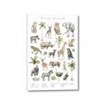 Picture of African wild animals I _GroupedProduct_Rectangle_Portrait_Mini_ _GroupedProduct_Rectangle_Portrait_Canvas_