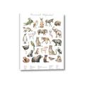 Picture of African wild animals II _GroupedProduct_Rectangle_Portrait_Mini_ _GroupedProduct_Rectangle_Portrait_Canvas_