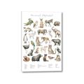 Picture of African wild animals II _GroupedProduct_Rectangle_Portrait_Mini_ _GroupedProduct_Rectangle_Portrait_Canvas_