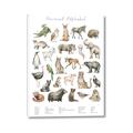 Picture of African wild animals II _GroupedProduct_Rectangle_Portrait_Mini_ _GroupedProduct_Rectangle_Portrait_Canvas_