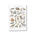 Picture of Cute Wild Animals I _GroupedProduct_Rectangle_Portrait_Mini_ _GroupedProduct_Rectangle_Portrait_Canvas_