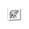 Picture of Forest Raccoon  _GroupedProduct_Square_Mini_ _GroupedProduct_Square_Canvas_