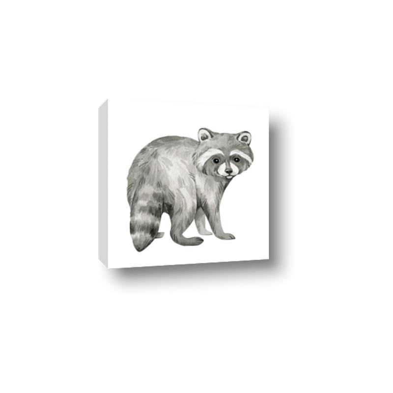 Picture of Forest Raccoon  _GroupedProduct_Square_Mini_ _GroupedProduct_Square_Canvas_