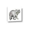 Picture of Forest Raccoon  _GroupedProduct_Square_Mini_ _GroupedProduct_Square_Canvas_