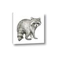 Picture of Forest Raccoon  _GroupedProduct_Square_Mini_ _GroupedProduct_Square_Canvas_