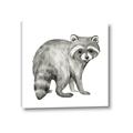 Picture of Forest Raccoon  _GroupedProduct_Square_Mini_ _GroupedProduct_Square_Canvas_