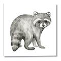 Picture of Forest Raccoon  _GroupedProduct_Square_Mini_ _GroupedProduct_Square_Canvas_