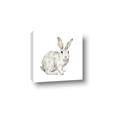 Picture of Forest Bunny _GroupedProduct_Square_Mini_ _GroupedProduct_Square_Canvas_