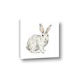 Picture of Forest Bunny _GroupedProduct_Square_Mini_ _GroupedProduct_Square_Canvas_