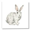 Picture of Forest Bunny _GroupedProduct_Square_Mini_ _GroupedProduct_Square_Canvas_