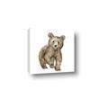 Picture of Forest Bear _GroupedProduct_Square_Mini_ _GroupedProduct_Square_Canvas_