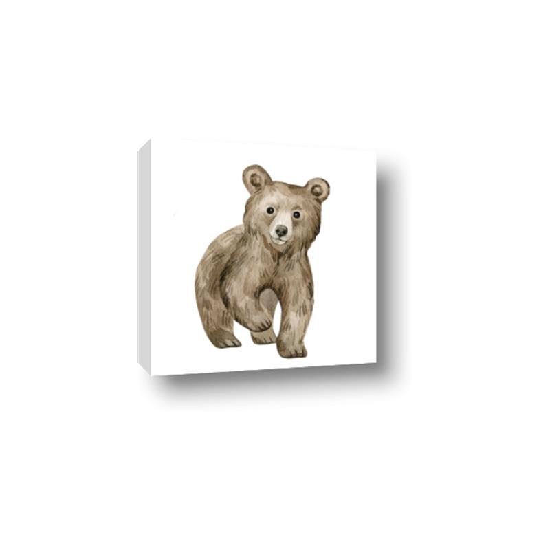 Picture of Forest Bear _GroupedProduct_Square_Mini_ _GroupedProduct_Square_Canvas_
