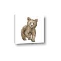 Picture of Forest Bear _GroupedProduct_Square_Mini_ _GroupedProduct_Square_Canvas_