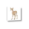 Picture of Forest Deer _GroupedProduct_Square_Mini_ _GroupedProduct_Square_Canvas_
