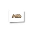 Picture of Baby grizzly bear I _GroupedProduct_Rectangle_Landscape_Mini_ _GroupedProduct_Rectangle_Landscape_Canvas_