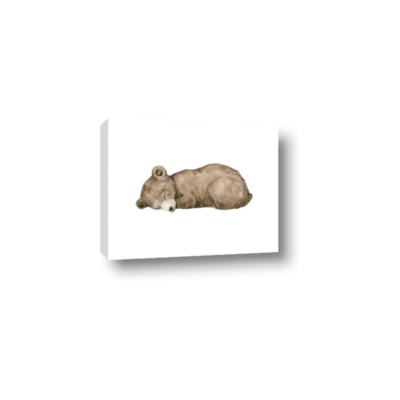 Picture of Baby grizzly bear I _GroupedProduct_Rectangle_Landscape_Mini_ _GroupedProduct_Rectangle_Landscape_Canvas_