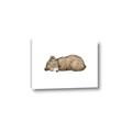 Picture of Baby grizzly bear I _GroupedProduct_Rectangle_Landscape_Mini_ _GroupedProduct_Rectangle_Landscape_Canvas_
