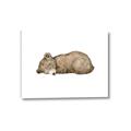Picture of Baby grizzly bear I _GroupedProduct_Rectangle_Landscape_Mini_ _GroupedProduct_Rectangle_Landscape_Canvas_