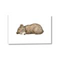 Picture of Baby grizzly bear I _GroupedProduct_Rectangle_Landscape_Mini_ _GroupedProduct_Rectangle_Landscape_Canvas_