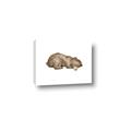 Picture of Baby grizzly bear II _GroupedProduct_Rectangle_Landscape_Mini_ _GroupedProduct_Rectangle_Landscape_Canvas_
