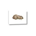 Picture of Baby grizzly bear II _GroupedProduct_Rectangle_Landscape_Mini_ _GroupedProduct_Rectangle_Landscape_Canvas_