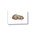 Picture of Baby grizzly bear II _GroupedProduct_Rectangle_Landscape_Mini_ _GroupedProduct_Rectangle_Landscape_Canvas_
