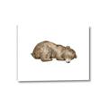 Picture of Baby grizzly bear II _GroupedProduct_Rectangle_Landscape_Mini_ _GroupedProduct_Rectangle_Landscape_Canvas_