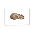 Picture of Baby grizzly bear II _GroupedProduct_Rectangle_Landscape_Mini_ _GroupedProduct_Rectangle_Landscape_Canvas_