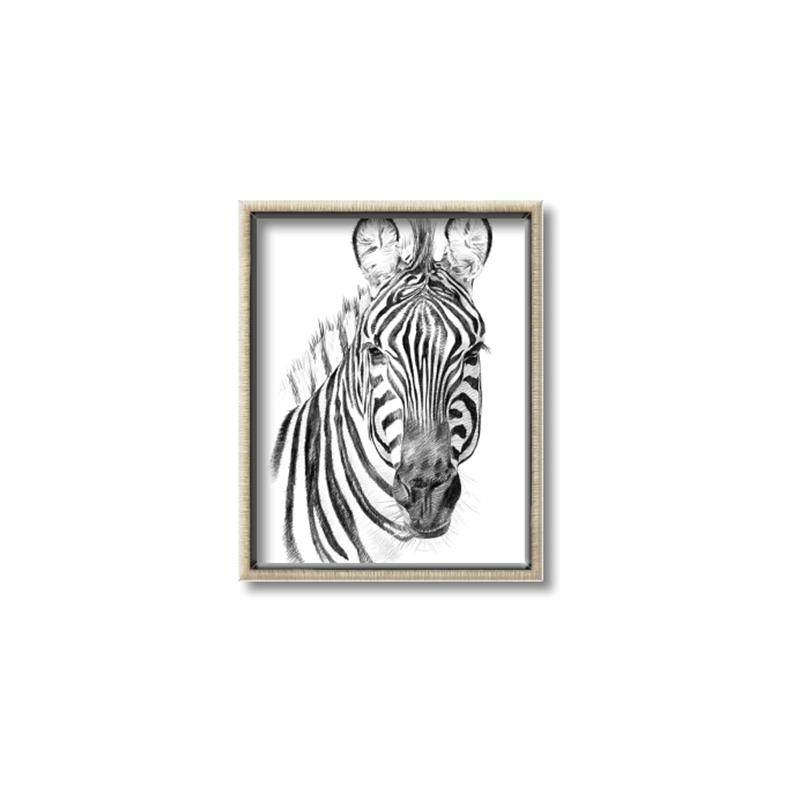 Picture of Sketched Zebras _GroupedProduct_Rectangle_Portrait_Mini_ _GroupedProduct_Rectangle_Portrait_Canvas_Framed_
