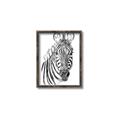Picture of Sketched Zebras _GroupedProduct_Rectangle_Portrait_Mini_ _GroupedProduct_Rectangle_Portrait_Canvas_Framed_