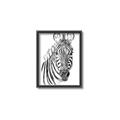 Picture of Sketched Zebras _GroupedProduct_Rectangle_Portrait_Mini_ _GroupedProduct_Rectangle_Portrait_Canvas_Framed_