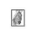 Picture of Sketched Zebras _GroupedProduct_Rectangle_Portrait_Mini_ _GroupedProduct_Rectangle_Portrait_Canvas_Framed_
