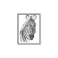 Picture of Sketched Zebras _GroupedProduct_Rectangle_Portrait_Mini_ _GroupedProduct_Rectangle_Portrait_Canvas_Framed_