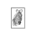 Picture of Sketched Zebras _GroupedProduct_Rectangle_Portrait_Mini_ _GroupedProduct_Rectangle_Portrait_Canvas_Framed_