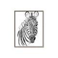 Picture of Sketched Zebras _GroupedProduct_Rectangle_Portrait_Mini_ _GroupedProduct_Rectangle_Portrait_Canvas_Framed_