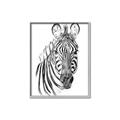 Picture of Sketched Zebras _GroupedProduct_Rectangle_Portrait_Mini_ _GroupedProduct_Rectangle_Portrait_Canvas_Framed_
