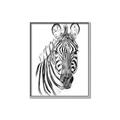 Picture of Sketched Zebras _GroupedProduct_Rectangle_Portrait_Mini_ _GroupedProduct_Rectangle_Portrait_Canvas_Framed_