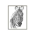 Picture of Sketched Zebras _GroupedProduct_Rectangle_Portrait_Mini_ _GroupedProduct_Rectangle_Portrait_Canvas_Framed_