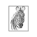 Picture of Sketched Zebras _GroupedProduct_Rectangle_Portrait_Mini_ _GroupedProduct_Rectangle_Portrait_Canvas_Framed_