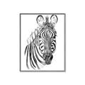 Picture of Sketched Zebras _GroupedProduct_Rectangle_Portrait_Mini_ _GroupedProduct_Rectangle_Portrait_Canvas_Framed_