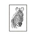 Picture of Sketched Zebras _GroupedProduct_Rectangle_Portrait_Mini_ _GroupedProduct_Rectangle_Portrait_Canvas_Framed_