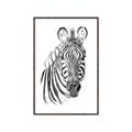 Picture of Sketched Zebras _GroupedProduct_Rectangle_Portrait_Mini_ _GroupedProduct_Rectangle_Portrait_Canvas_Framed_