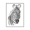 Picture of Sketched Zebras _GroupedProduct_Rectangle_Portrait_Mini_ _GroupedProduct_Rectangle_Portrait_Canvas_Framed_