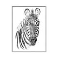 Picture of Sketched Zebras _GroupedProduct_Rectangle_Portrait_Mini_ _GroupedProduct_Rectangle_Portrait_Canvas_Framed_