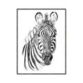 Picture of Sketched Zebras _GroupedProduct_Rectangle_Portrait_Mini_ _GroupedProduct_Rectangle_Portrait_Canvas_Framed_