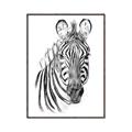 Picture of Sketched Zebras _GroupedProduct_Rectangle_Portrait_Mini_ _GroupedProduct_Rectangle_Portrait_Canvas_Framed_