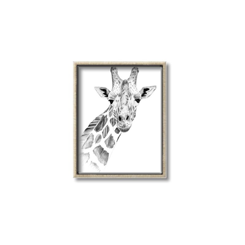 Picture of Sketched Giraffe _GroupedProduct_Rectangle_Portrait_Mini_ _GroupedProduct_Rectangle_Portrait_Canvas_Framed_