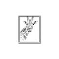 Picture of Sketched Giraffe _GroupedProduct_Rectangle_Portrait_Mini_ _GroupedProduct_Rectangle_Portrait_Canvas_Framed_