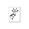 Picture of Sketched Giraffe _GroupedProduct_Rectangle_Portrait_Mini_ _GroupedProduct_Rectangle_Portrait_Canvas_Framed_